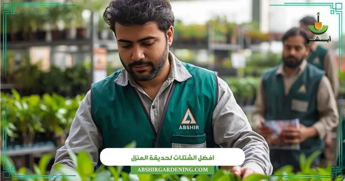 افضل الشتلات لحديقة المنزل