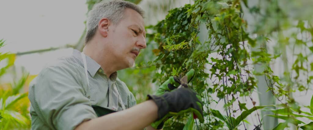 تصميم حدائق منزلية بافضل الطرق العصرية الحديثة - أبشر لتنسيق الحدائق في السعودية