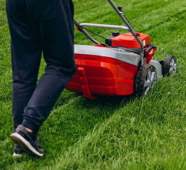 أبشر - أفضل شركة تنسيق حدائق في المملكة العربية السعودية