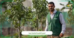 اسرع الاشجار المثمرة نموا