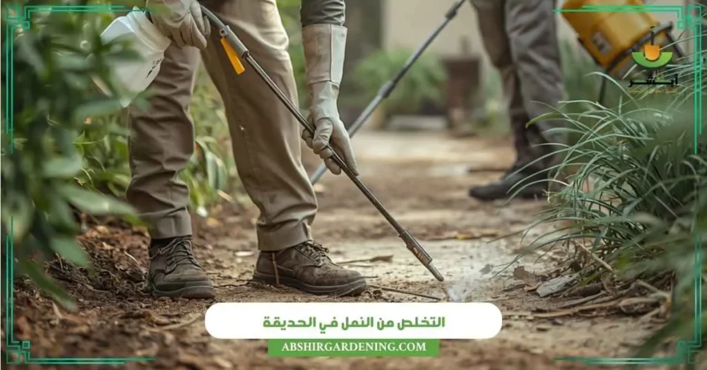 التخلص من النمل في الحديقة - أبشر لتنسيق الحدائق التخلص من النمل في الحديقة