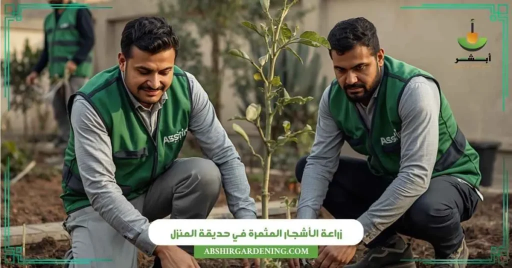 زراعة الأشجار المثمرة في حديقة المنزل