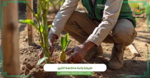 طريقة زراعة فاكهة التنين