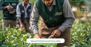 فوائد سماد الحديد للنباتات الحديقة